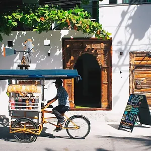 Hotel The Green Village Boutique, Playa del Carmen